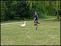 PW-070803-110858-MN.jpg
