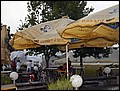 tns-sommerfest-005.jpg