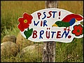tns-sommerfest-059.jpg