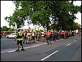 TNS-080812-203312-IMG_3906.jpg