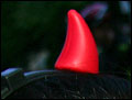 TNS-080902-201100-OA1D2824.jpg