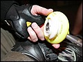 TNS-081021-224948-OA1D7967.jpg
