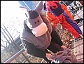 080203-132238-gz.jpg