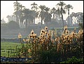 lxr-080212-065346-fr.jpg