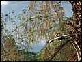 lxr-080212-071310-fr.jpg
