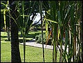 lxr-080212-094818-fr.jpg