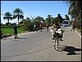 lxr-080212-111130-fr.jpg
