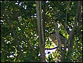 lxr-080216-072328-fr.jpg