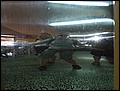 BCN-0823-153830-DSCF3219-BR.jpg
