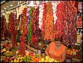 BCN-0823-172146-CIMG4657-AM.jpg
