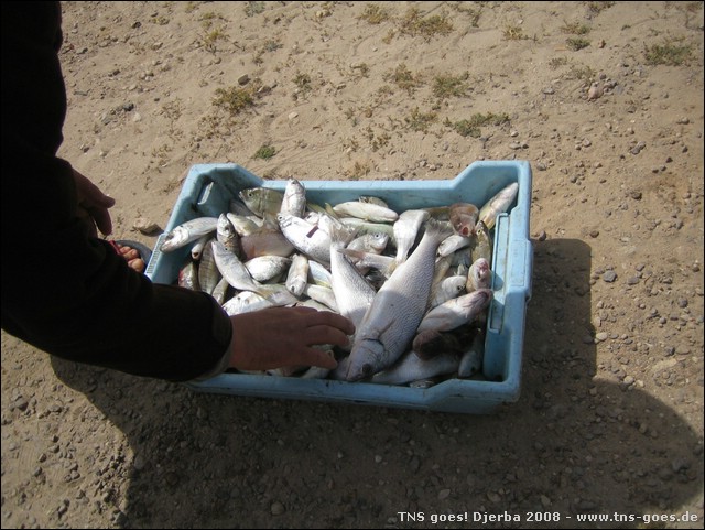 DJERBA-080420-111616-IMG_0125.jpg