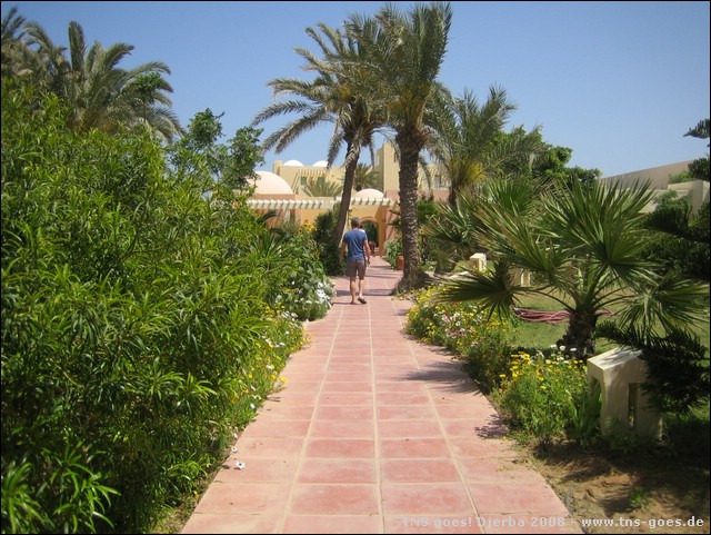 DJERBA-080420-135848-IMG_0163.jpg