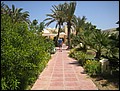 DJERBA-080420-135848-IMG_0163.jpg