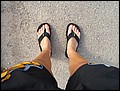 081020-113832-FO-CIMG6531.jpg