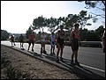 081020-162246-SS-IMG_4574.jpg