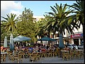 081020-174038-BN-P1010364.jpg