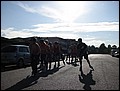 081022-094024-JS-IMG_2013.jpg