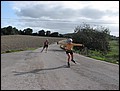 081023-100332-JS-IMG_2120.jpg
