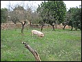 081023-102918-SR-IMG_1431.jpg