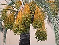 081025-143428-SS-IMG_4800.jpg
