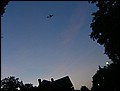 TNS-090818-205456-FO-CIMG0308.jpg