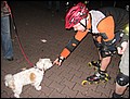 TNS-091013-203124-RS-image015.jpg