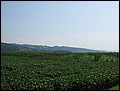 PW09-0730-090452-KM-IMG_3139.jpg