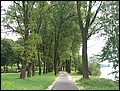 PW09-0731-110450-FO-CIMG9012.jpg