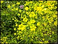 PW09-0731-114426-AN-DSCN1625.jpg