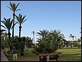DJ-23074248-KM-IMG_2019.jpg