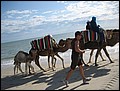DJ-23081418-RA-IMG_5760.jpg