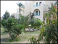 DJ-23085232-RA-IMG_5771.jpg