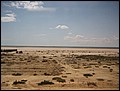 DJ-23102900-RA-IMG_5773.jpg