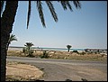 DJ-24105042-RA-IMG_5923.jpg