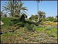 DJ-24154340-RA-IMG_6000.jpg