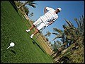 DJ-24165156-RA-IMG_6019.jpg