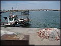 DJ-25113002-HS-IMG_8016.jpg