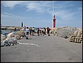DJ-25113038-HS-IMG_8017.jpg