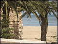 DJ-25113510-RA-IMG_6116.jpg