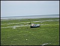 DJ-25114458-RA-IMG_6131.jpg
