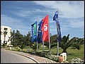 DJ-25135440-KM-IMG_2109.jpg