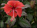 Cuba_090307-022.jpg