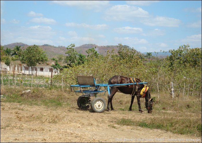 Cuba_090310-049.jpg