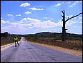 Cuba_090310-044.jpg