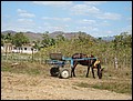 Cuba_090310-049.jpg