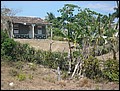 Cuba_090310-050.jpg