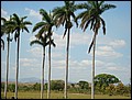 Cuba_090310-051.jpg