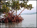 Cuba_090310-097.jpg