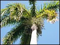 Cuba_090313-028.jpg