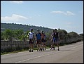 MA-26110708-DM-IMG_1042.jpg